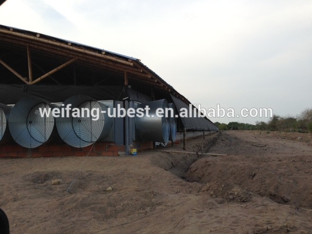 2015 best sell poultry farming equipment broiler chicken