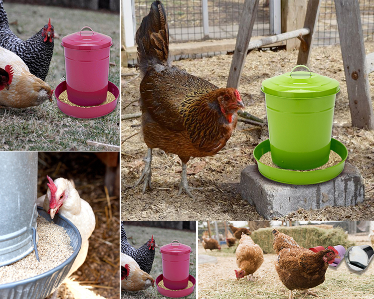 Wholesale poultry farming Galvanized metal Small round chicken feeder for sale