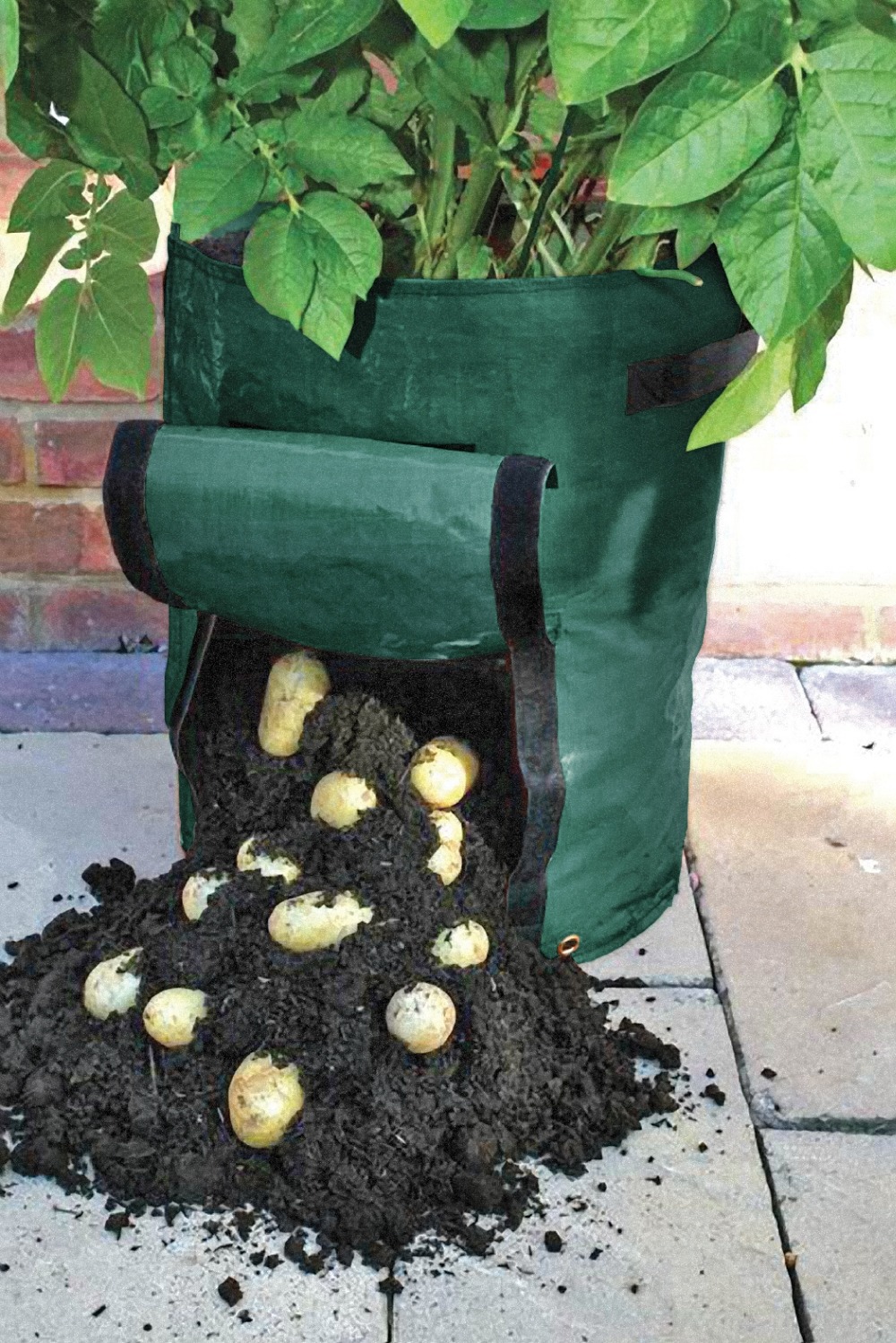 Cheap popular PE plastic potato growing bag