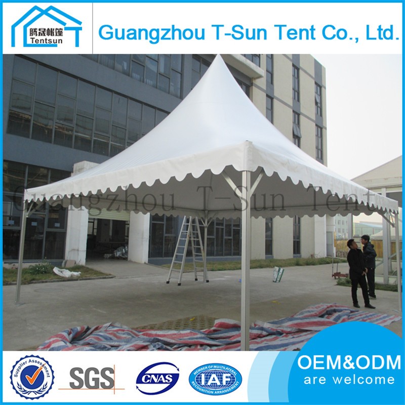 Aluminum frame fire resistant pvc covers 20x20 catering marriage marquee