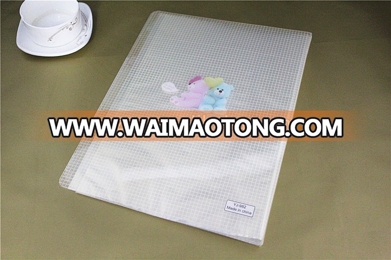 Handmade Paper File Clear Plastic Drawing Folder Sheet Protectors