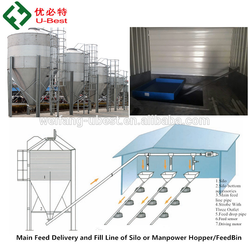 Poultry Controlled Shed Equipment Auto Silo Feeder Drinker Cooling Pad Heater for Farming Broiler Chickens