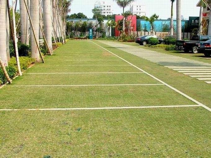 For parking floor HDPE plastic porous grass pavers / paving grass lawn grids