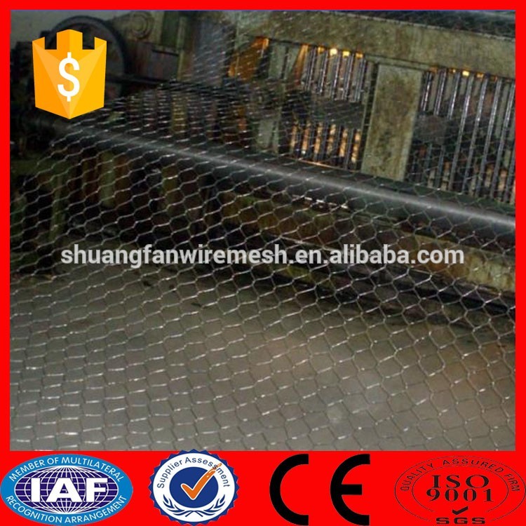 lobster trap / crab / fish trap pvc coated hot dipped galvanized hexagonal wire mesh