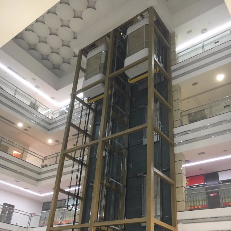 lift elevator for house outdoor/home lifts guangdong small elevator