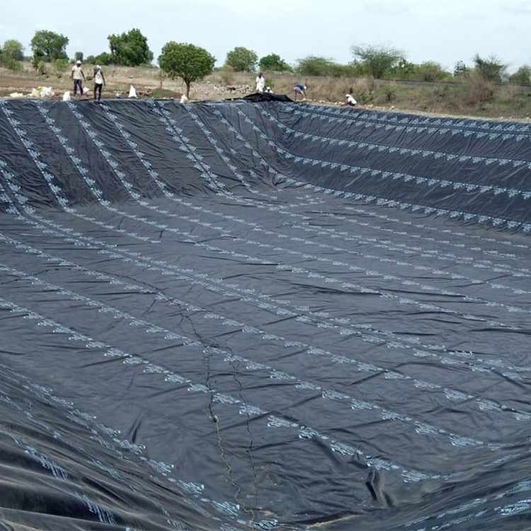 Professional manufacturers supply Newly durable hdpe geomembrane fish pond liner