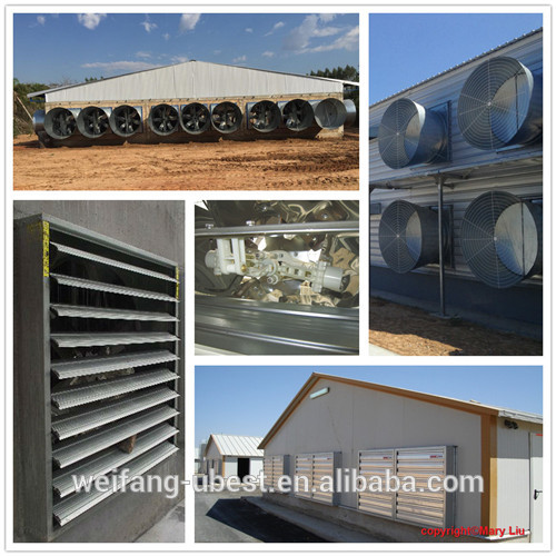 Chinese steel structure building prefab chicken house poultry farm