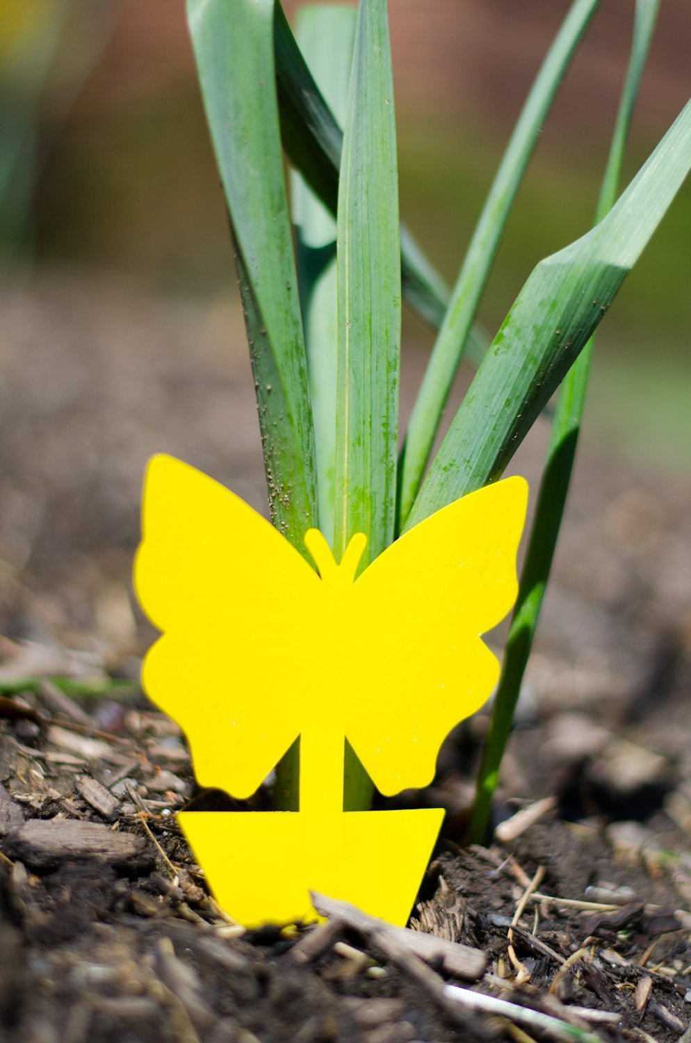 Yellow butterfly shape sticky glue insect fly killer traps