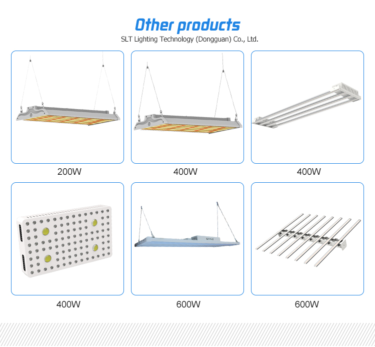 High Power Full Spectrum for Plants Growth 800w LED Grow Light