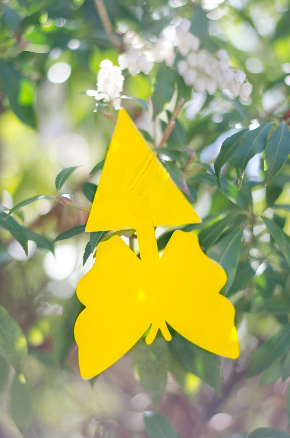 Yellow butterfly shape sticky glue insect fly killer traps