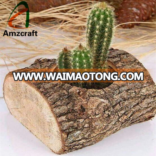 Wholesale OEM Driftwood Log Planter Wood Flower Pots