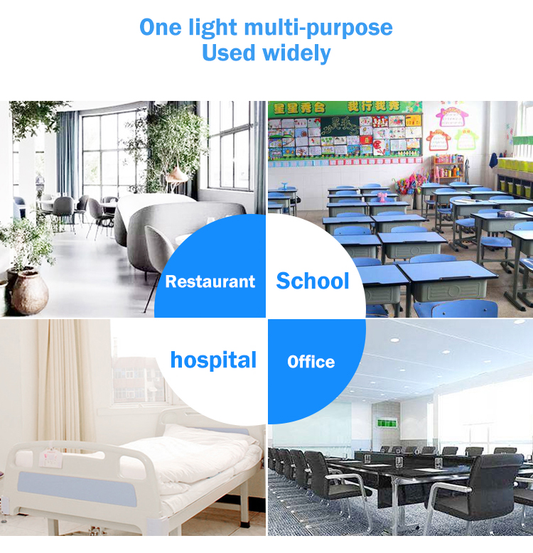 Ultraviolet Germicidal lamp UVC 110v 220v ozone quaretz Wall-mounted uv disinfection light