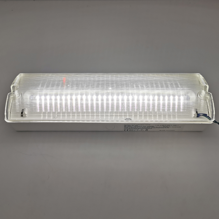 Factory offer 5W SMD LED Emergency Escape Bulkhead Light