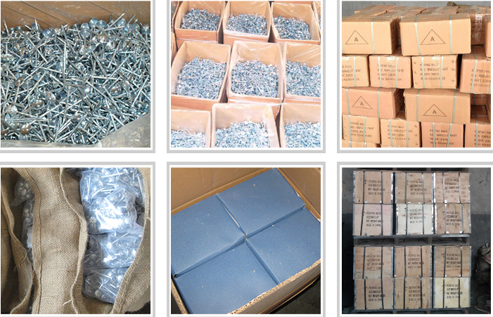 Top quality and lowest price construction material common nails concrete steel nail roofing nail