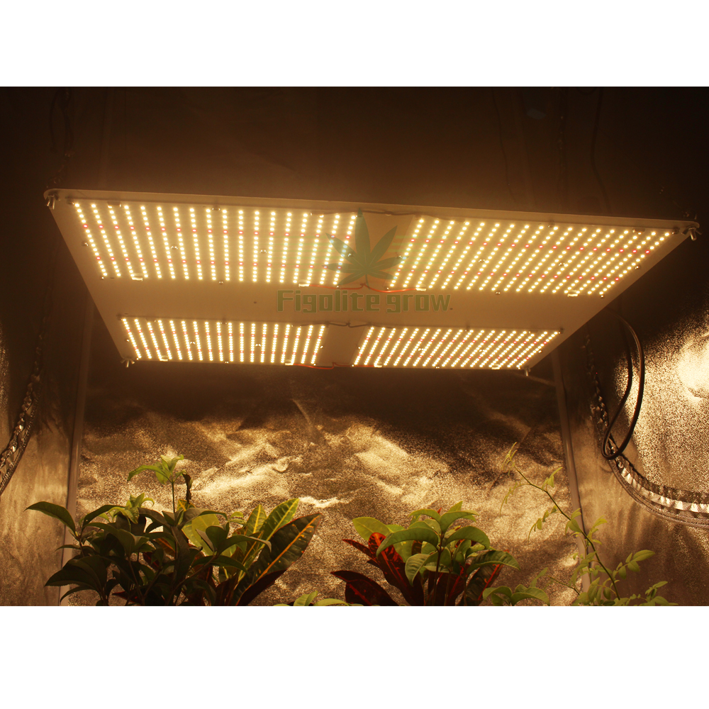 Figolite HLG-550-V3 480w LM301H Quantum Board led grow light HLG-480H-48AB