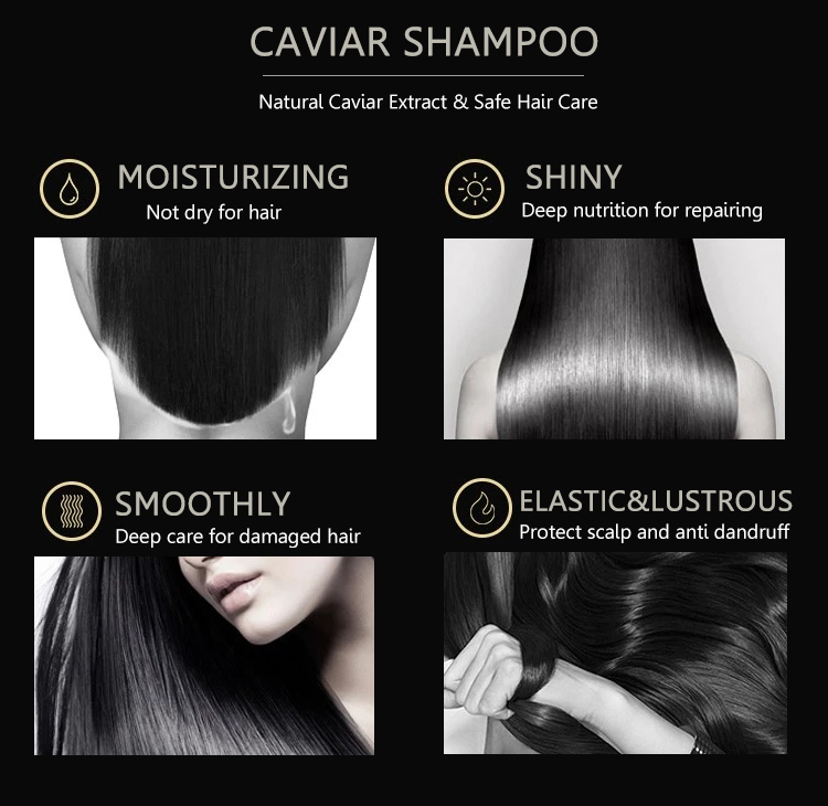 2019 hot sales Caviar Daily Care Oil Control Hair Shampoo and Conditioner