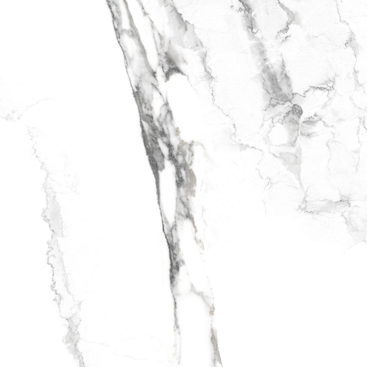 White Family Carrara Full Body Marble Porcelain Tile