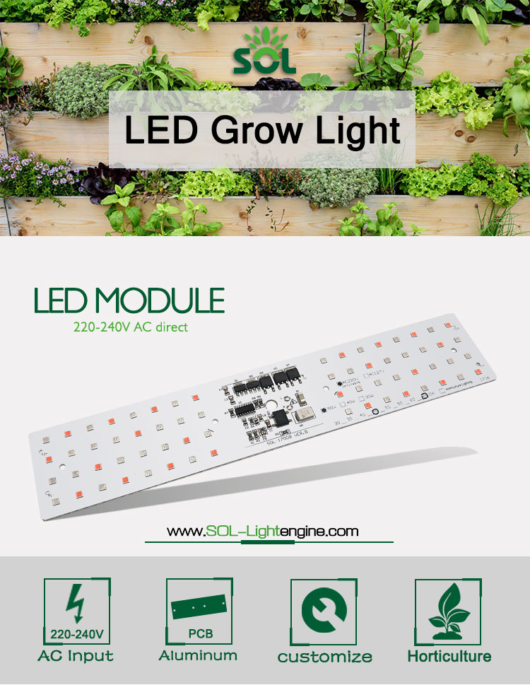 Blue Red AC 50W Epistar Horticulture LED Module For LED Grow Light