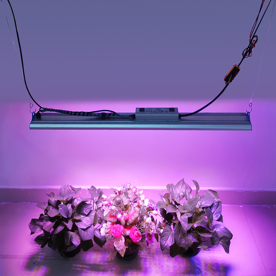 High lumen hydroponic grow system led board grow light for greenhouse planting