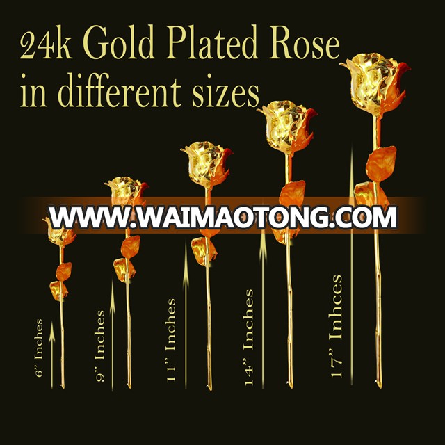 Amazing Gold Rose with Beautiful High Quality Red Box