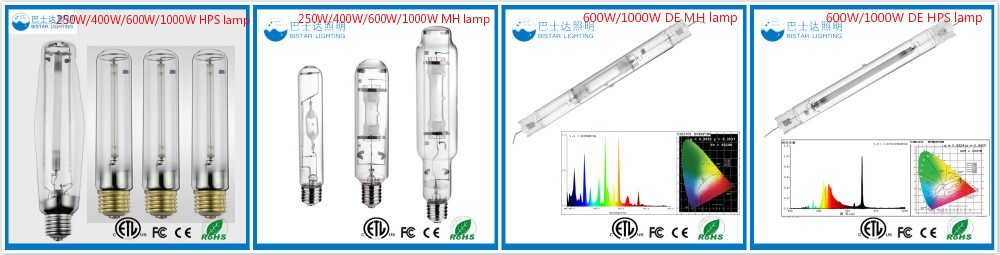 1000W digital electronic dimmable ballast