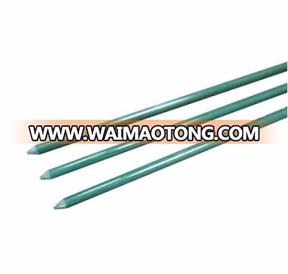 Green dyed bamboo stakes