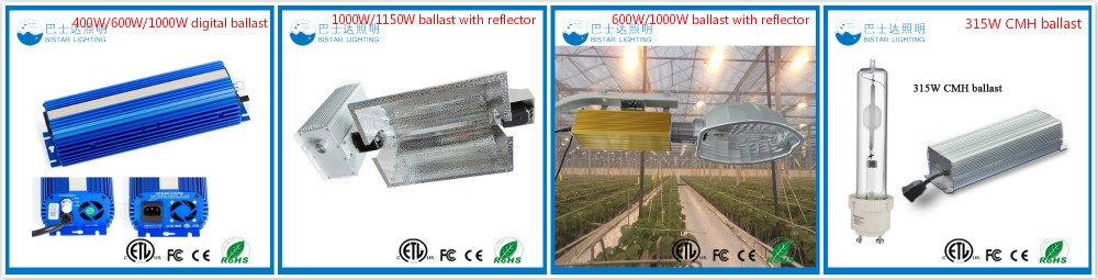 1000W digital electronic dimmable ballast