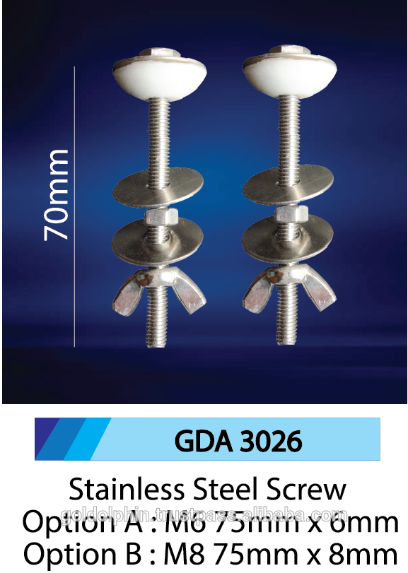 Stainless Steel Screw