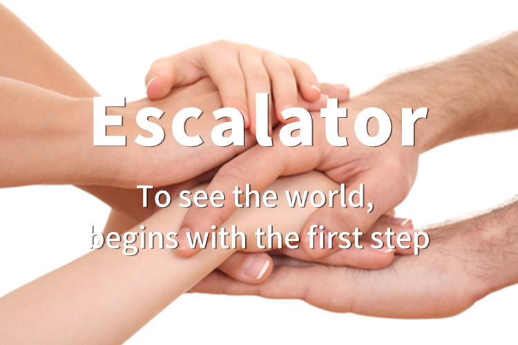 Residential Escalator Inside Escalator Low Cost Escalator Price