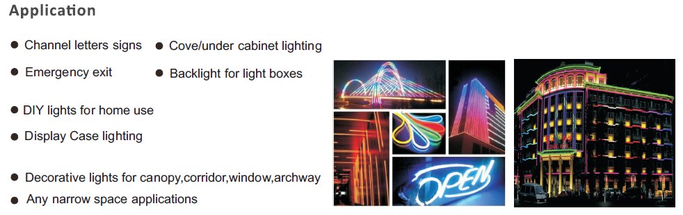 Programmable WS2811/SK6812 RGB Neon Strip