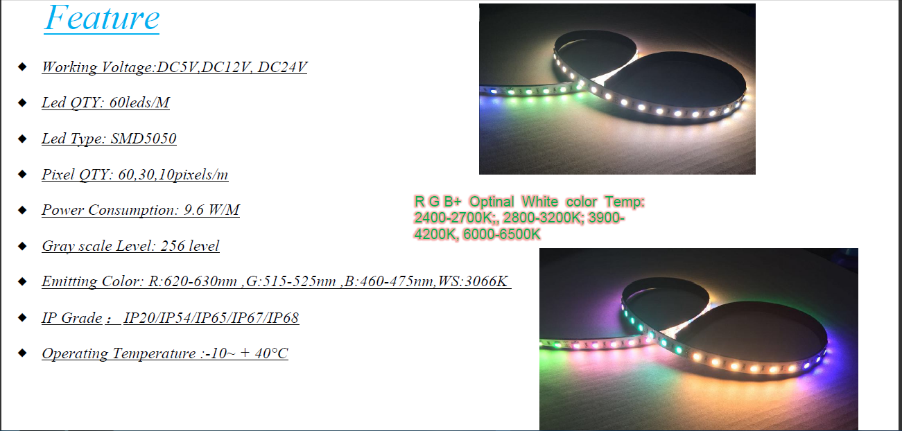 5050 RGBW (Built-in IC ) Dream Flexible Strip