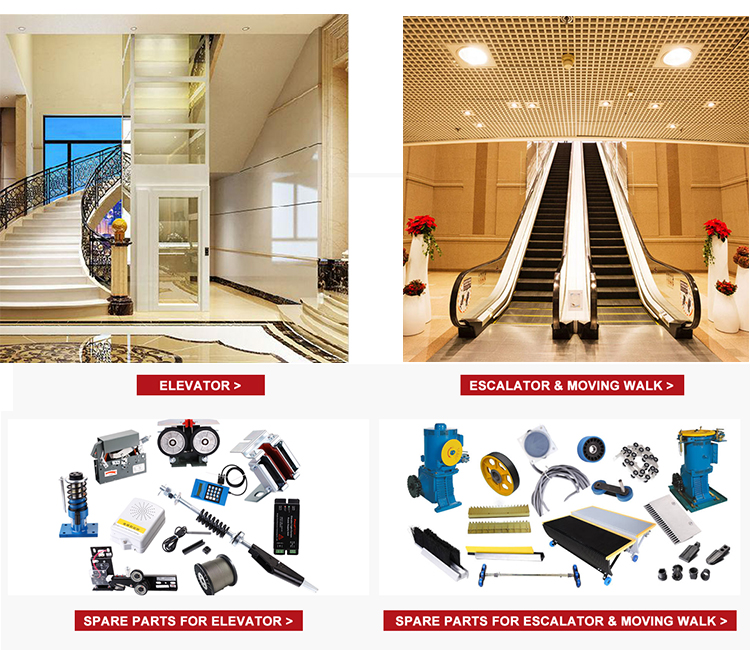 Home Elevator Lifts Supplier in China Elevator Lift Cheap Price Passenger Lift