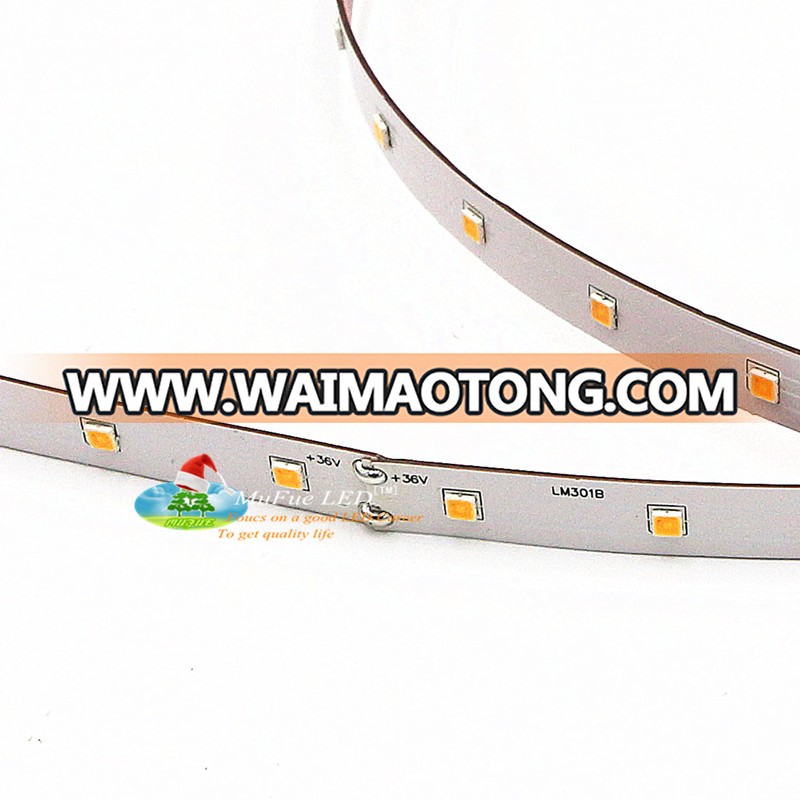 samsung LM301B smd3030 led strip 48LED 36volt without no resistor