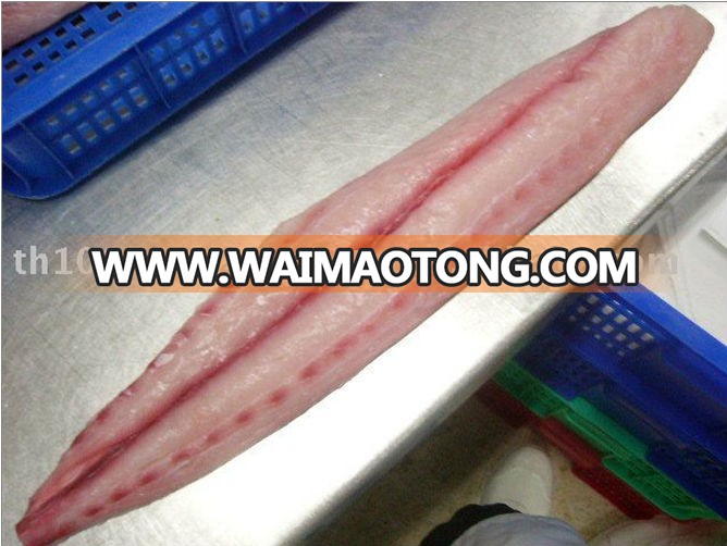 High Quality Seafood Frozen Round Whole Spanish Mackerel