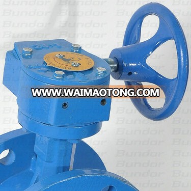 Worm gear operated flange butterfly valve