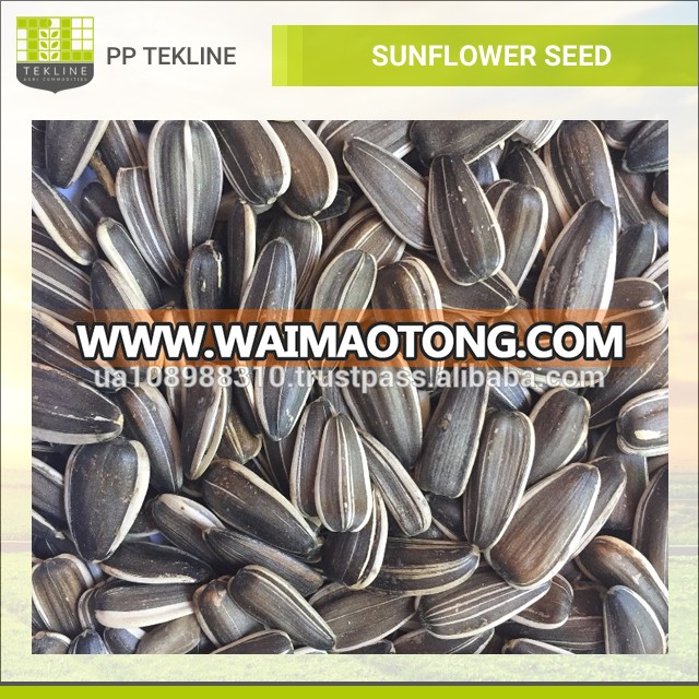 Wholesale Striped Sunflower Seeds at Best Price