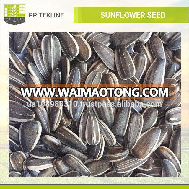 Wholesale Striped Sunflower Seeds at Best Price