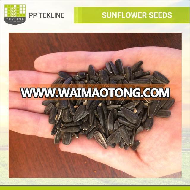 Wholesale Striped Sunflower Seeds at Best Price