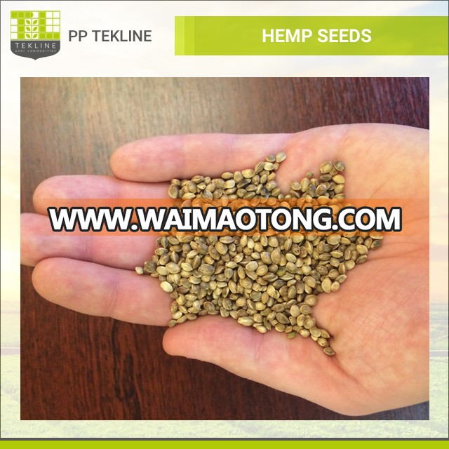 100% Natural & Organic Hemp Seeds for Sale