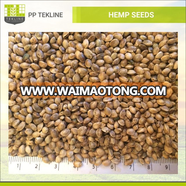 100% Natural & Organic Hemp Seeds for Sale