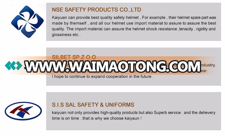 China Best Co<em></em>nstruction Safety Helmet with CE EN 397 Certification