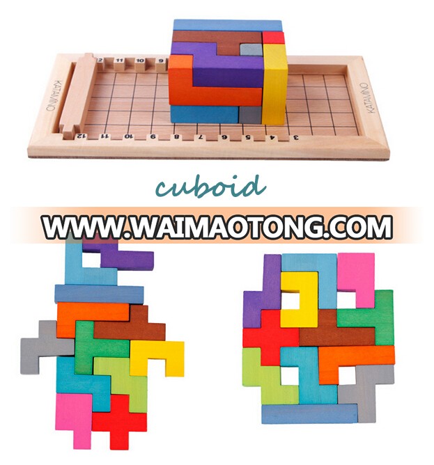 New design Wooden Tetris Katamino toys Cartagena Camino challenge wood building blocks intelligence toy