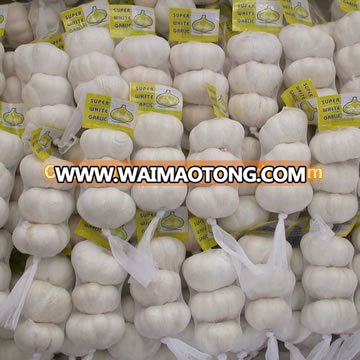 Garlic Supplier/Garlic Distributor from China - low price, high quality