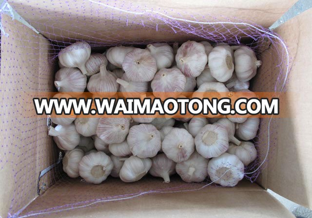 Garlic Supplier/Garlic Distributor from China - low price, high quality