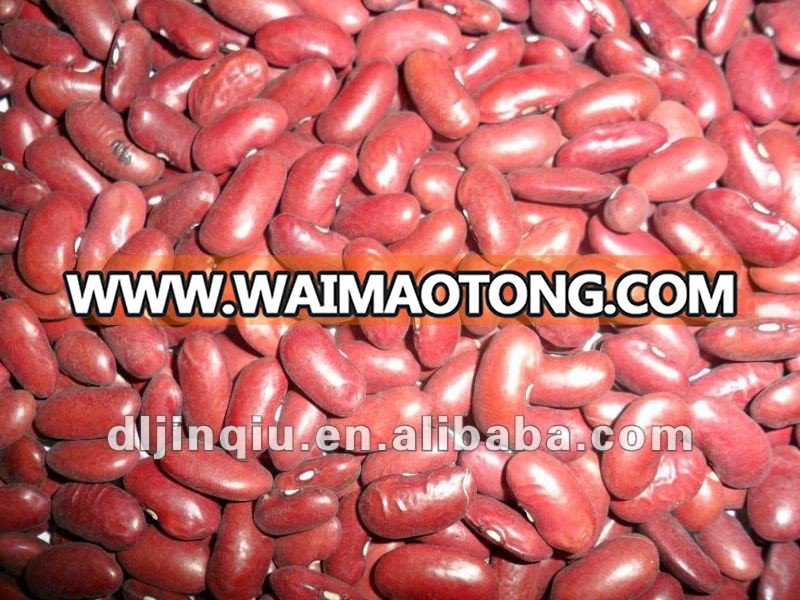 dark red kidney bean 1.JPG