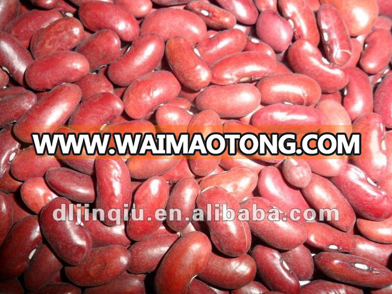 dark red kidney bean 2.JPG