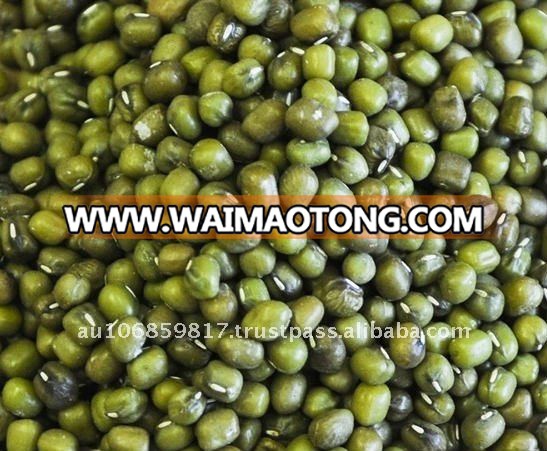 Organic Mung Beans.jpg