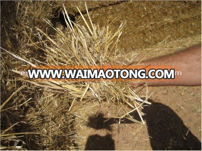 Wheat straw, straw.jpg