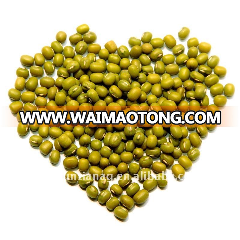 mung bean-4.JPG