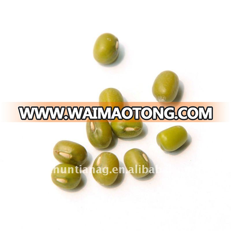 mung bean-5.JPG